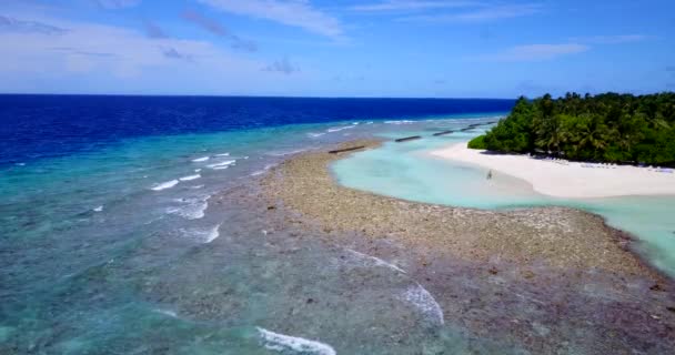Deniz Manzarası Bali Nin Tropikal Doğası — Stok video
