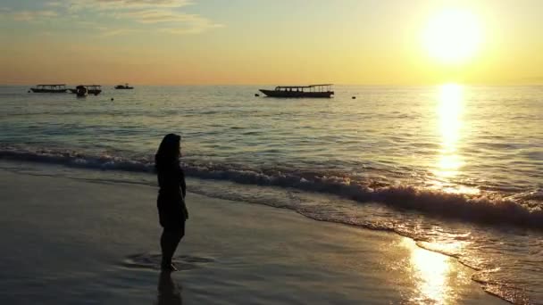 Mujer Caminando Playa — Vídeos de Stock