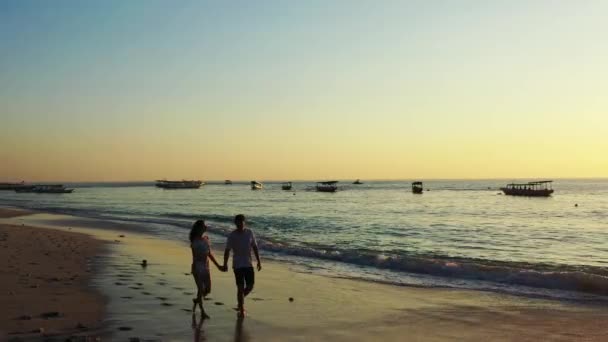 View Couple Walking Sandy Beach Evening — Stock Video