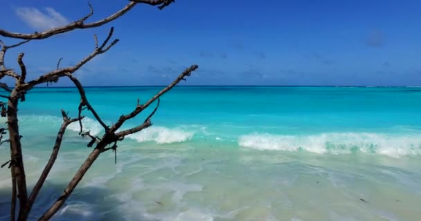 Levendige Zee Golven Tropisch Strand Malediven — Stockvideo