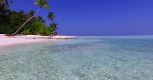 Wellenförmiges Flachwasser Morgen Auf Der Tropischen Insel Sommerreise Nach Australien — Stockvideo