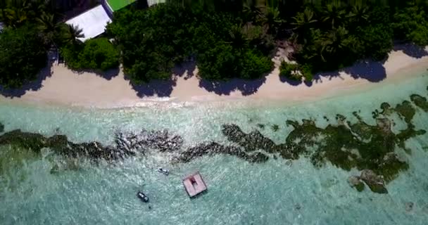 낮에는 표류하는 해변으로 카리브해 바하마에서의 — 비디오