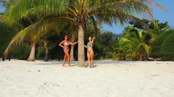 两个穿着比基尼的年轻女友站在棕榈树和日光浴下的沙滩海岸上 美丽的女人在热带度假胜地休息 — 图库视频影像