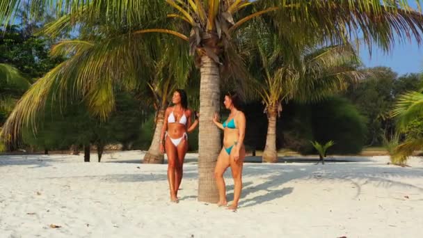 Két Fiatal Barátnő Bikiniben Áll Homokos Tengerparton Pálmafa Alatt Napozik — Stock videók