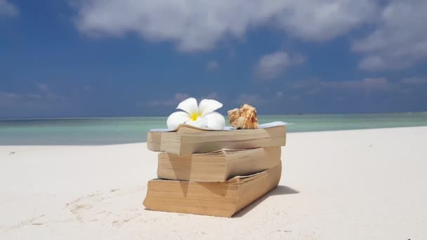 Stos Książek Kwiatem Plumerii Muszelką Plaży Słoneczny Charakter Barbadosu Karaiby — Wideo stockowe