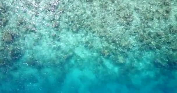 Dominik Cumhuriyeti Nde Yaz Sahnesi Dalgalanan Muhteşem Turkuaz Deniz Manzarası — Stok video