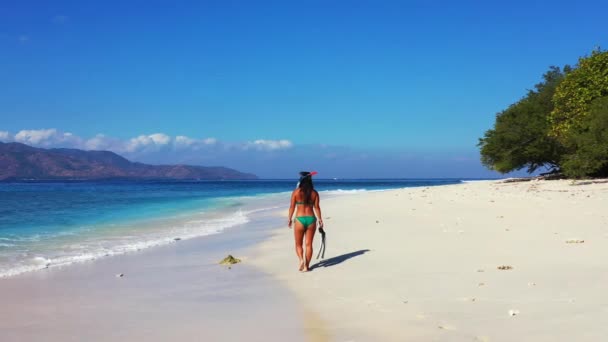 Mulher Andando Com Equipamentos Flippers Praia Verão — Vídeo de Stock