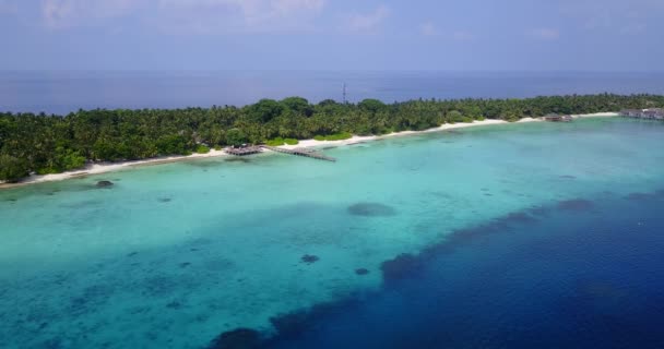 Scena Wyspie Dzień Tropikalny Raj Bora Bora Polinezja Francuska — Wideo stockowe