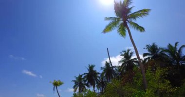 Tropik adada yemyeşil ağaçlar. Koh Samui huzurlu sahne, Tayland.