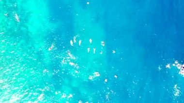 İnsanlar denizde şnorkelle yüzüyor. Bahamalar, Karayipler 'de tropik tatil. 