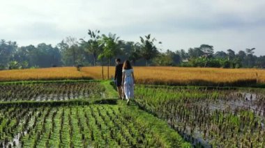 Pirinç tarlalarında yürüyen çiftin videosu.