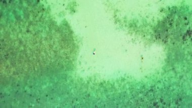 Yeşil suyu seven turistlerin en iyi manzarası. Avustralya, Okyanusya 'da yaz tatili.