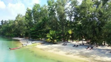 Sahilde aylaklar yemyeşil palmiyelerin altında. Barbados, Karayipler 'in tropik cenneti. 