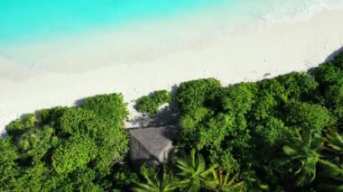 Canlı kıyı şeridi, üst manzara. Hawaii, ABD 'ye yaz gezisi.