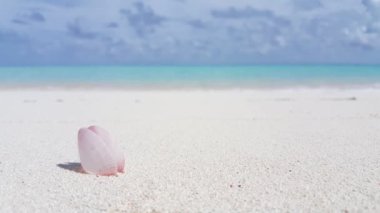 Empty clear shoreline with transparent water. Tropical nature of Bali, Indonesia. 