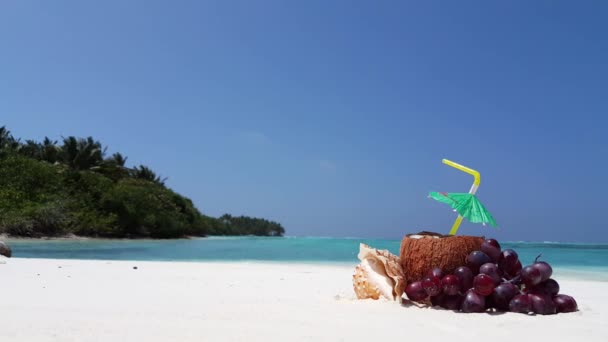 Kokos Plaży Letnia Podróż Tajlandii — Wideo stockowe