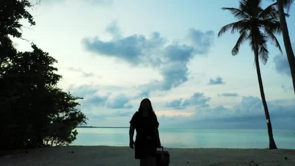 Donna Con Bagagli Passeggiando Sulla Spiaggia Tramonto — Video Stock