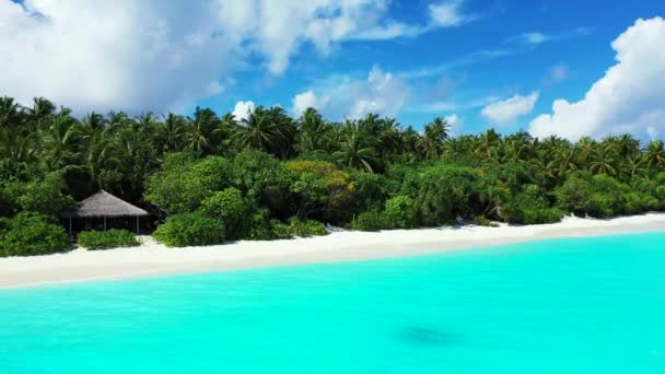 Високий Кут Зору Красивий Тропічний Острів Океаном Аерофотознімки — стокове відео