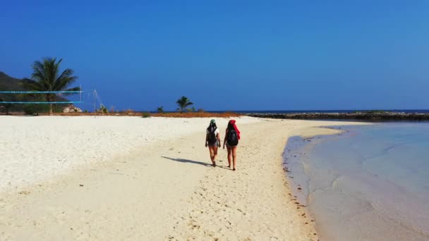 Video Alto Angolo Donne Che Camminano Sulla Spiaggia — Video Stock