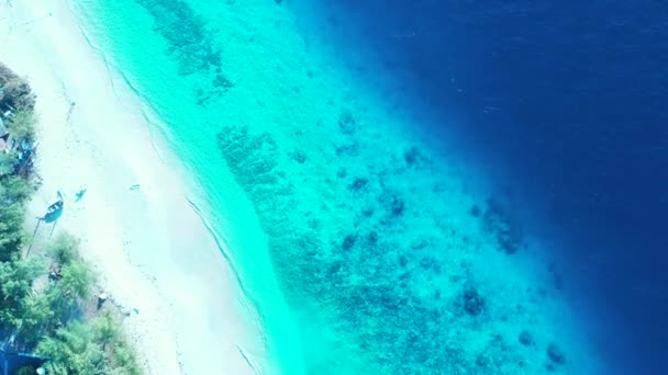 Vibrant Turquoise Garis Pantai Perjalanan Bora Bora Polinesia Prancis — Stok Video