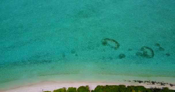 Tropiska Öns Strandlinje Morgonen Naturen Antigua — Stockvideo