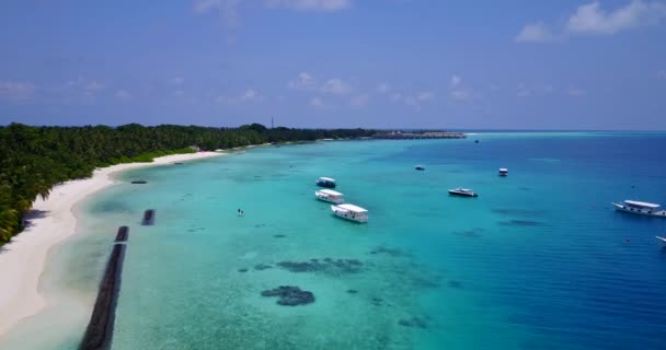 Barcos Atracados Verde Isla Verano Naturaleza Tropical Bahamas Caribe — Vídeo de stock