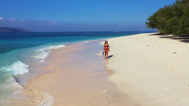 Mujer Caminando Con Aletas Máscara Playa — Vídeos de Stock