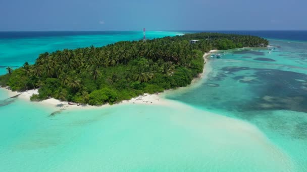 Vista Aérea Isla Mar Tortuga Viaje Bora Bora Polinesia Francesa — Vídeos de Stock