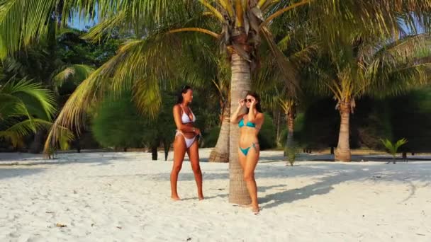 Deux Jeunes Amies Bikini Debout Sur Côte Sablonneuse Sous Palmier — Video