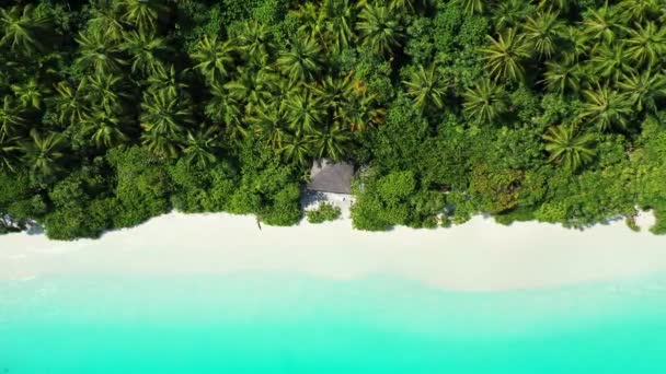 Vista Aérea Incrível Ilha Tropical Indonésia Conceito Férias — Vídeo de Stock