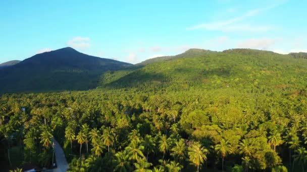 Montagne Verdi Sull Isola Viaggio Bali Indonesia — Video Stock