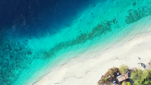 Luftaufnahme Von Inseln Meer Tropisches Paradies Auf Den Malediven — Stockvideo