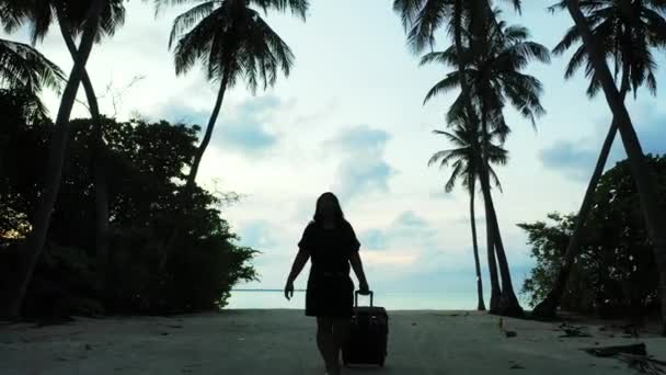 Γυναίκα Αποσκευές Που Περπατά Στην Παραλία Ηλιοβασίλεμα — Αρχείο Βίντεο