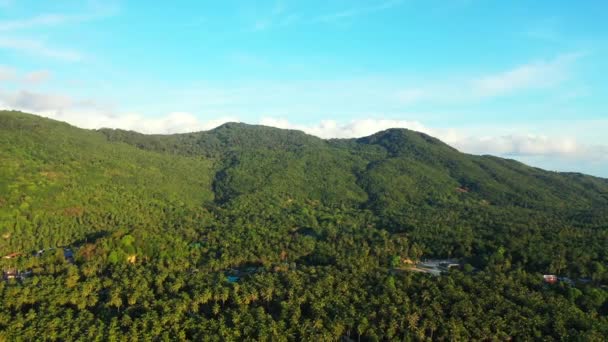 Höga Gröna Berg Sommarparadis Jamaica Västindien — Stockvideo