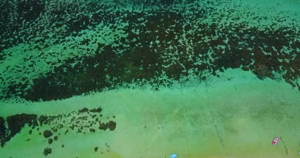 Огромная Бирюзовая Морская Вода Бора Бора Французская Полинезия — стоковое видео