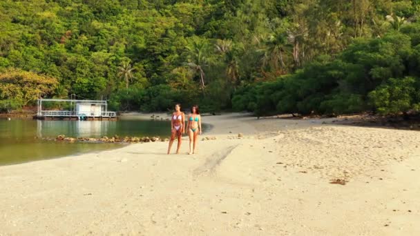 海沿いに立つビキニ姿の2人の若い女の子の友達と話している 熱帯リゾートにいる美しい女性 — ストック動画