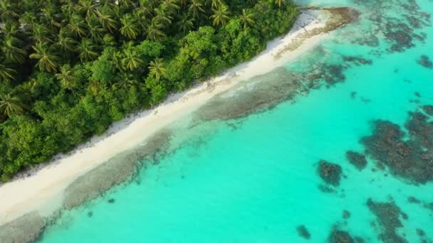 Succosa Vista Sul Mare Turchese Bahamas Scena Idilliaca Caraibi — Video Stock