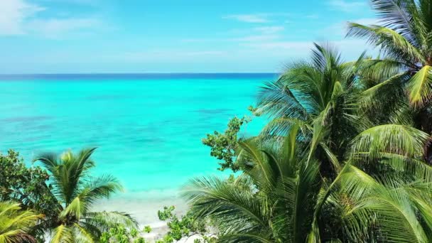 Seashore Turquoise Water Green Palms Tropical Nature Bahamas Caribbean — Stock Video