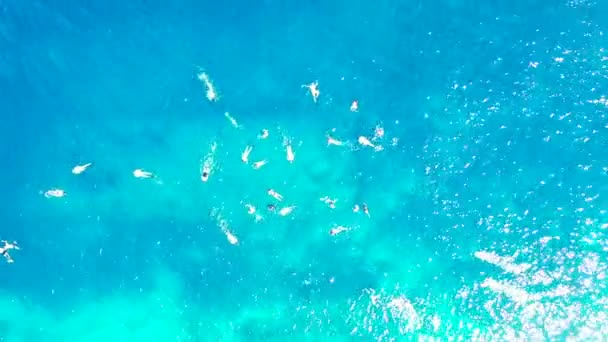 Top Widok Turystów Snorkeling Turkusowym Morzu Wycieczka Barbados Karaiby — Wideo stockowe