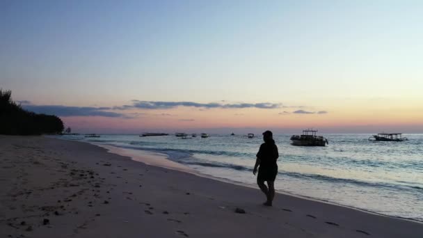 Tropikalna Koncepcja Podróży Kobiety Rajskiej Plaży Podczas Kolorowego Zachodu Słońca — Wideo stockowe