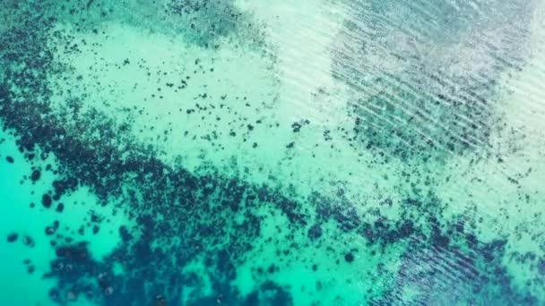 Água Mar Azul Turquesa Transparente Paraíso Tropical Bora Bora Polinésia — Vídeo de Stock