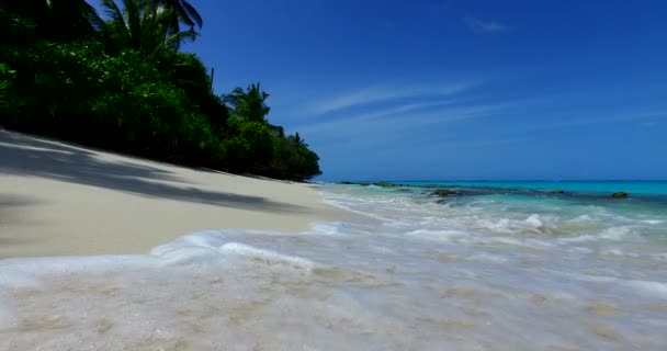 Tagsüber Ruhige Küste Tropischer Charakter Balis — Stockvideo