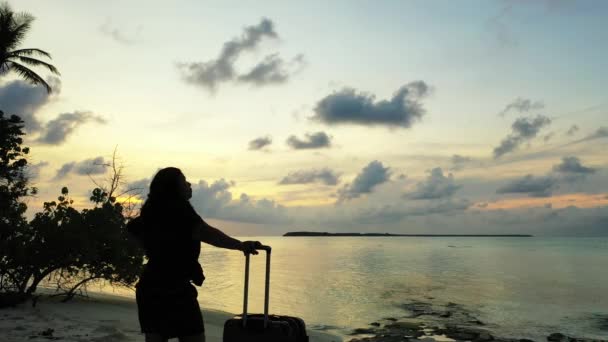 日落时带着行李在海滩上的女人的轮廓 — 图库视频影像