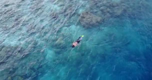 Turkuaz Okyanusunda Şnorkelle Yüzen Genç Bir Kadın — Stok video