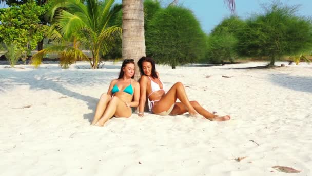 Deux Jeunes Amies Bikini Assises Sur Côte Sablonneuse Sous Palmier — Video