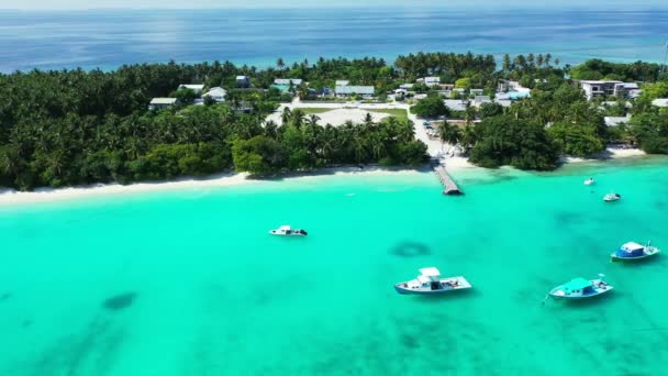 Nature Exotique Bora Bora Polynésie Française — Video