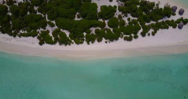 Vista Superior Costa Isla Relajación Verano Maldivas Asia Meridional — Vídeos de Stock