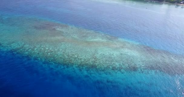 海の自然を背景にリップリング ドミニカ共和国 カリブ海のエキゾチックな自然 — ストック動画