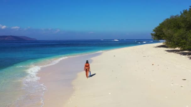 Γυναίκα Περπάτημα Πτερύγια Και Μάσκα Στην Παραλία — Αρχείο Βίντεο