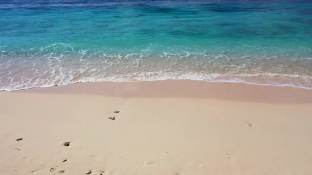 Kıyıda Sığ Dominik Cumhuriyeti Karayipler Yaz Tropik Sahneleri — Stok video